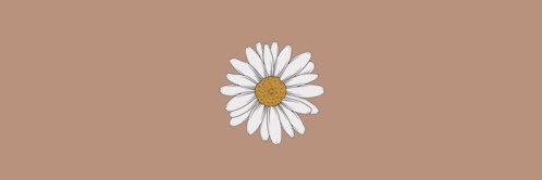 allysaloha's profile banner image