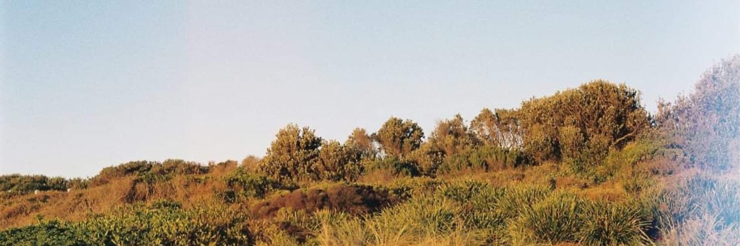britt_murphy_'s profile banner image