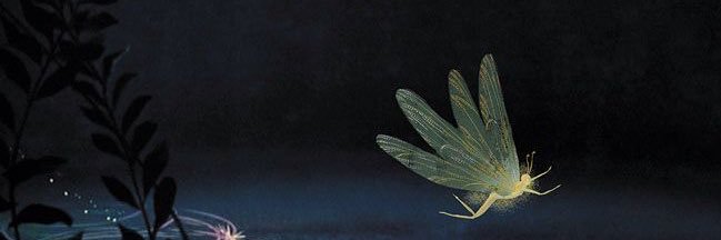 padparade's profile banner image