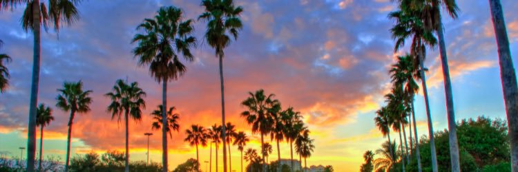TooHott2STOP's profile banner image