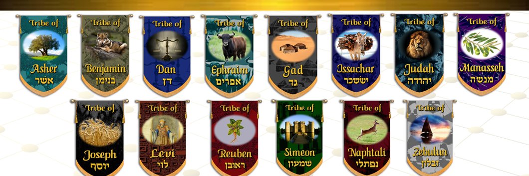 princedavidii's profile banner image