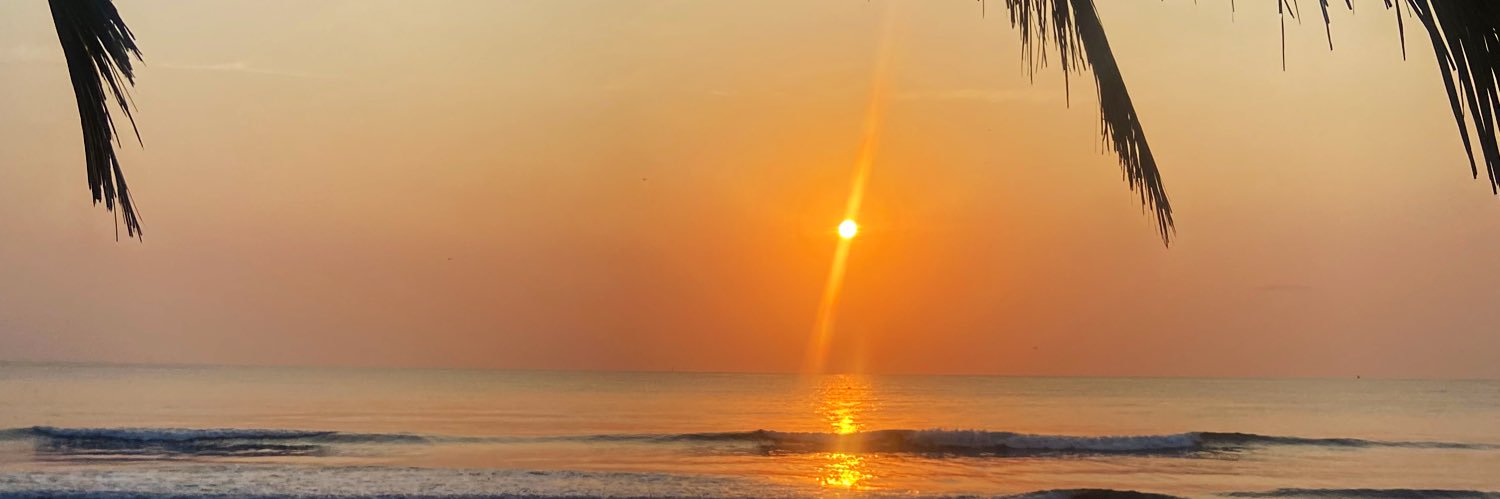 SeLMiStaR's profile banner image