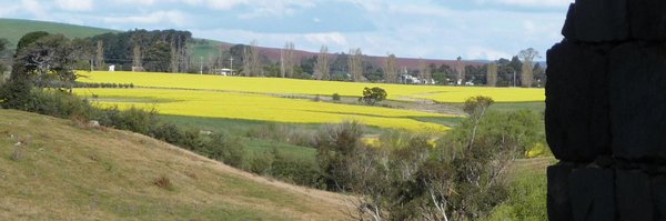 roncos49 Profile Banner