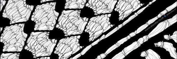 sir_hsn Profile Banner