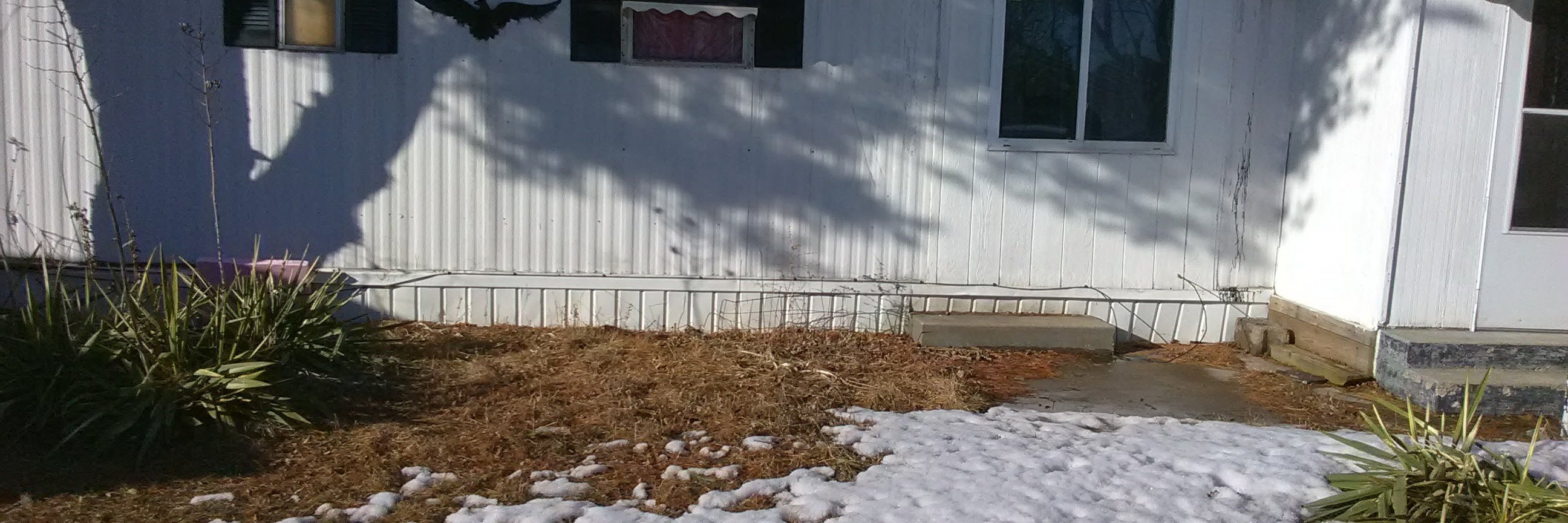 Pamela j. Hunt banner