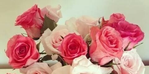 henialwani's profile banner image