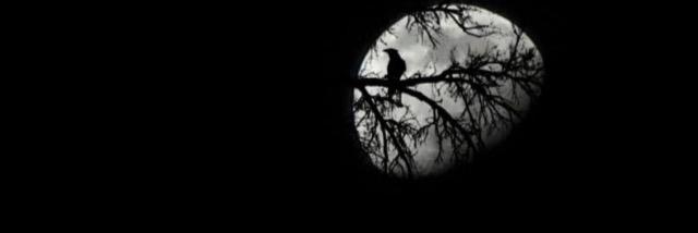 dagri_el's profile banner image