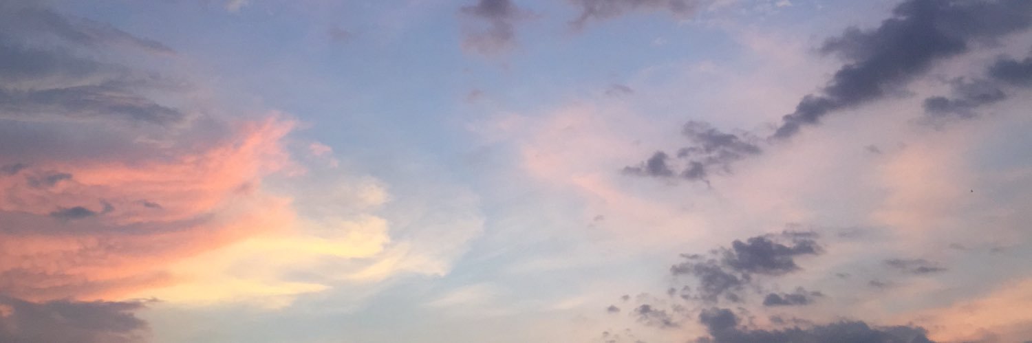 slvrqueenn's profile banner image