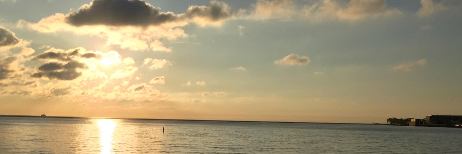 Tara_Mirza's profile banner image