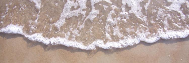 CarolineTrawick's profile banner image