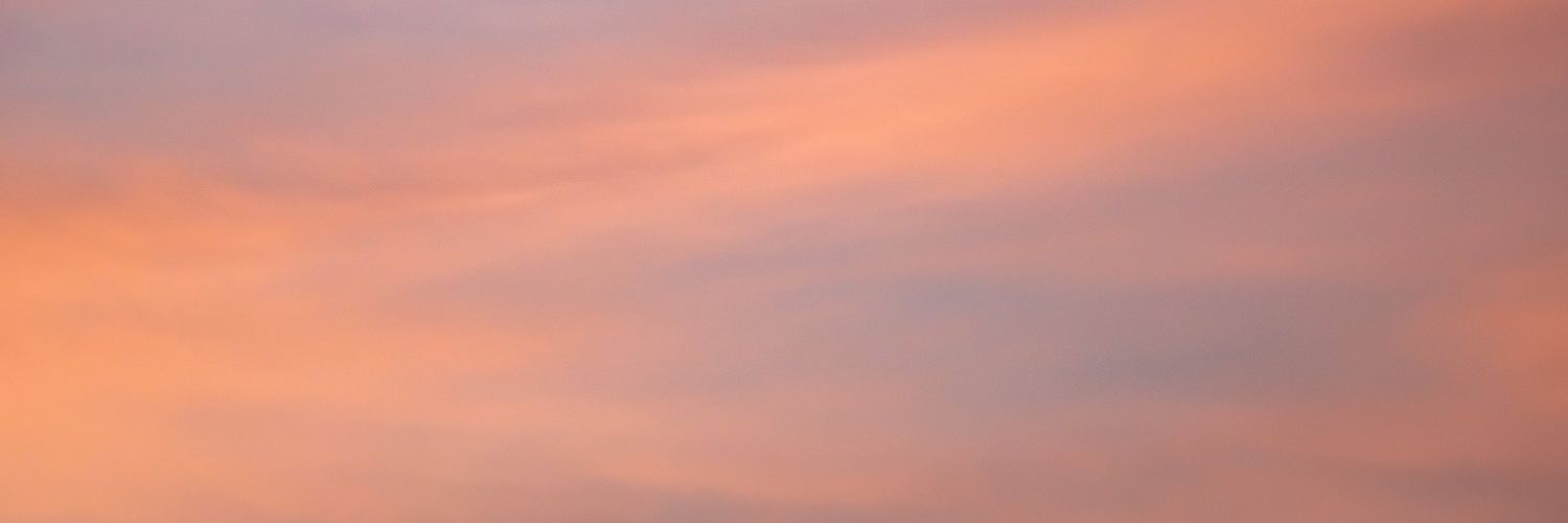 甘🍃 / semi ia banner