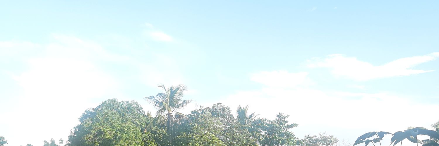 naduni_m's profile banner image