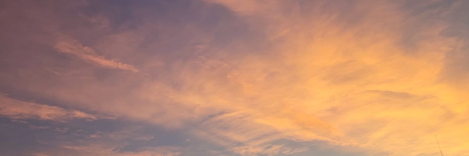 LilBoo1230's profile banner image
