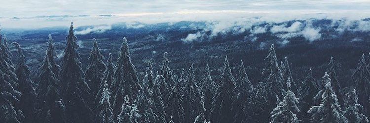 Marinroe's profile banner image