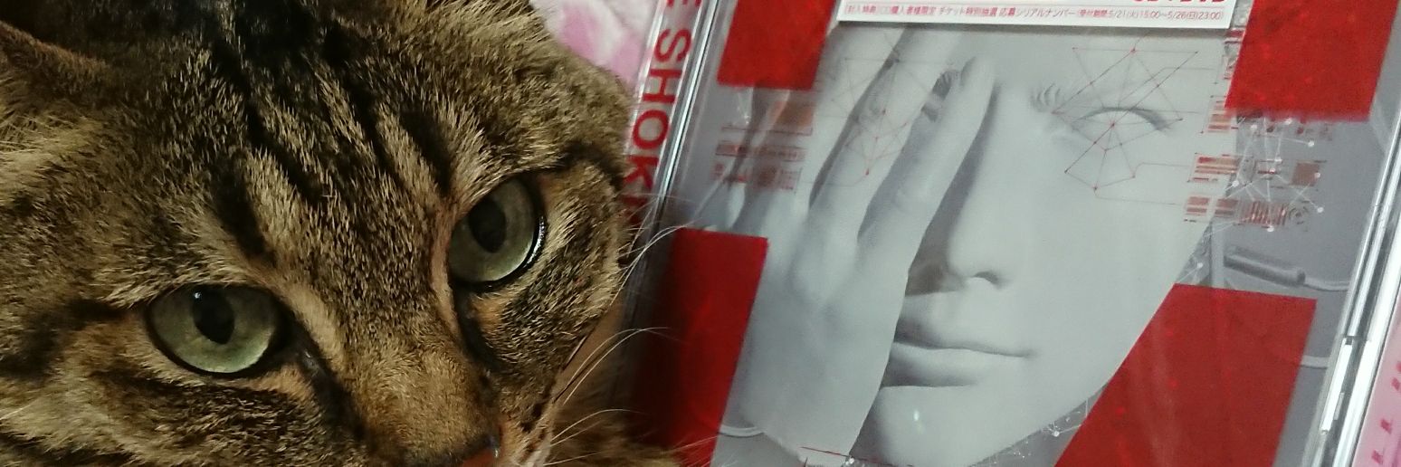れおきち banner