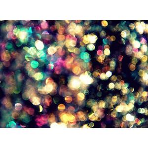 Magdalena_Shasa's profile banner image