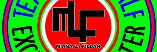 ht_mlf's profile banner image