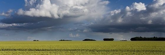 Maxime Monnin banner