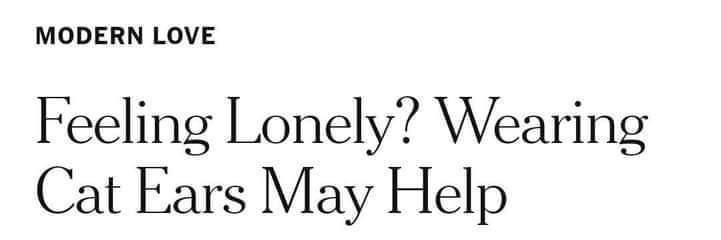 Kletterkatze 💉💉💉💉 banner