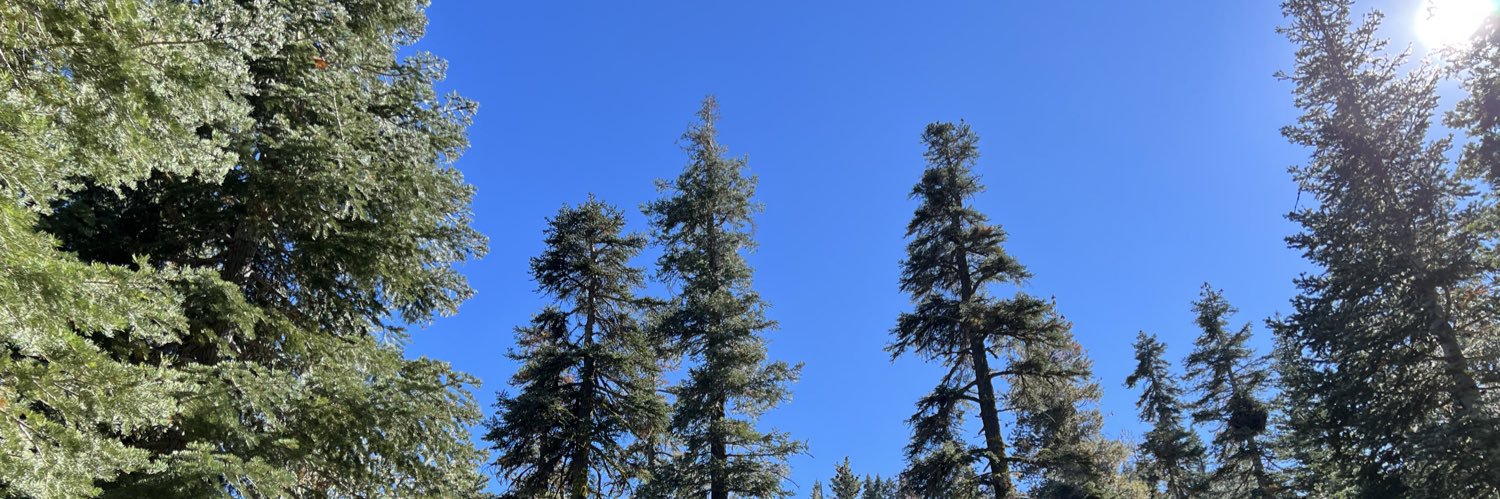 RsvlMegan's profile banner image