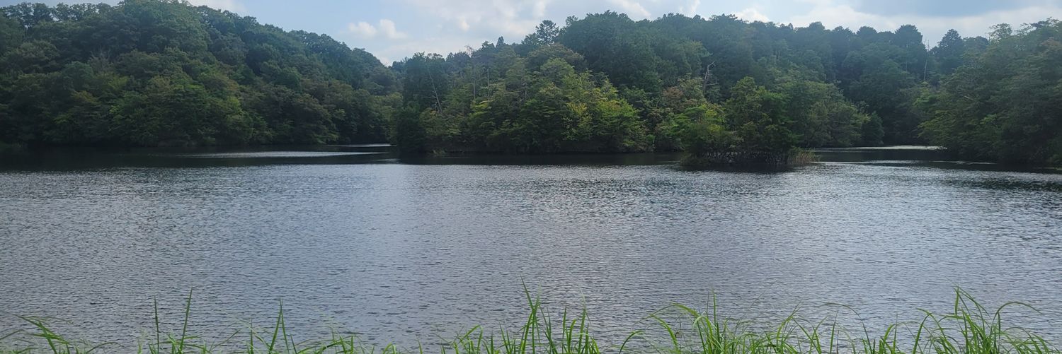 LifeMasafishing's profile banner image