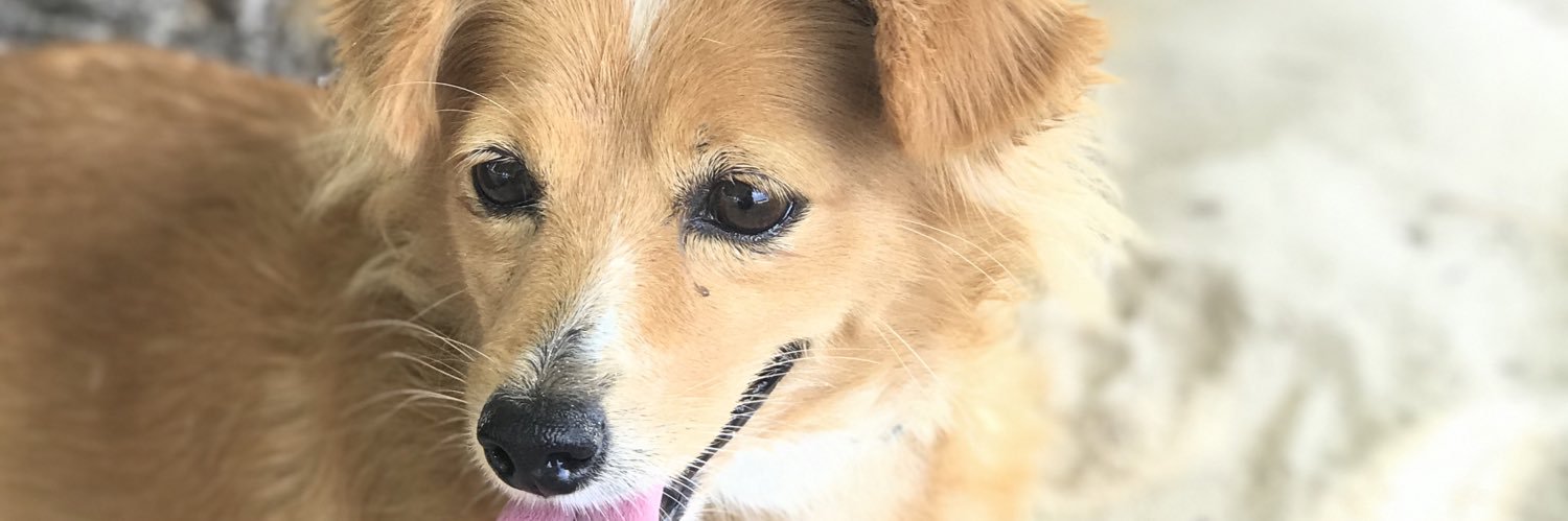 _atkinsonn's profile banner image