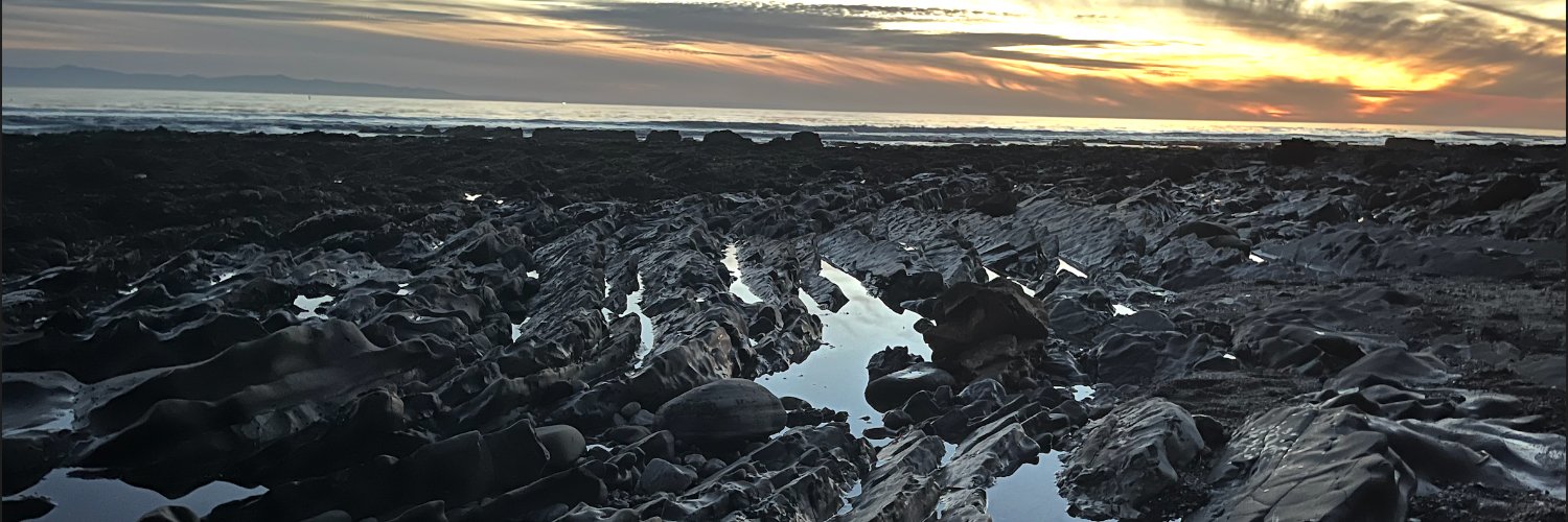 Ivan Bercovich banner