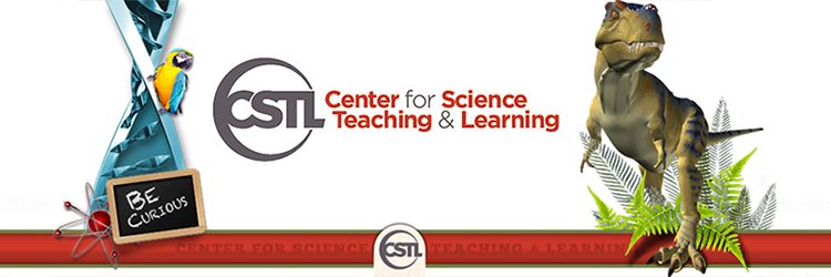 Center for Science Teaching and Learning banner