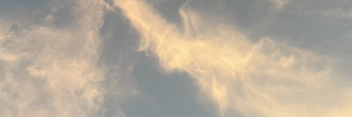 lookupbambi's profile banner image