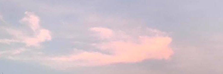 mosmos banner
