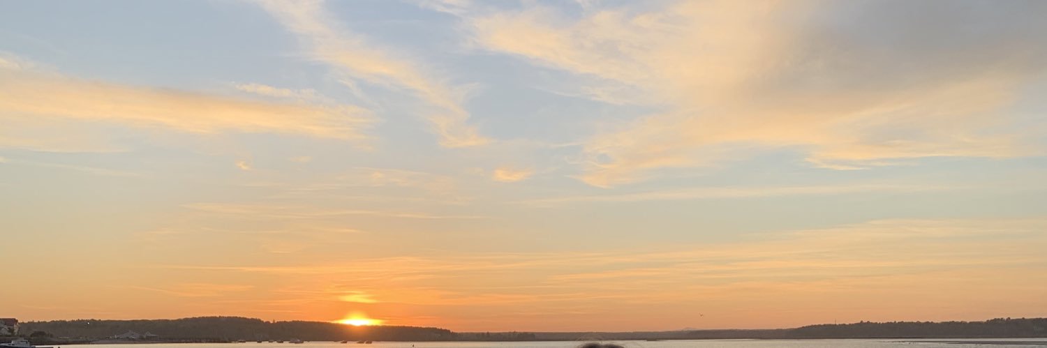 mbleavitt9's profile banner image
