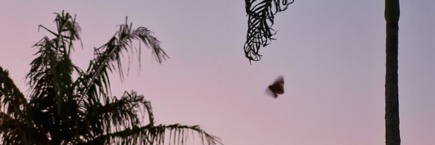 under construction banner