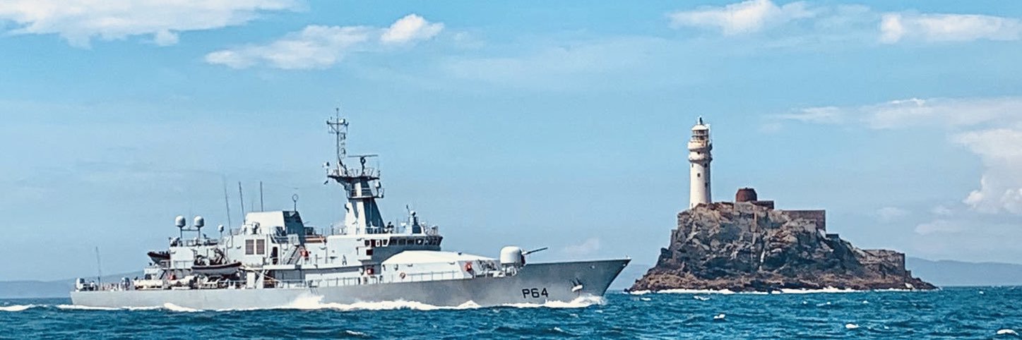 Reserve Defence Forces (Ireland) banner