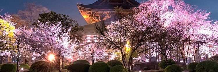 b_34444's profile banner image