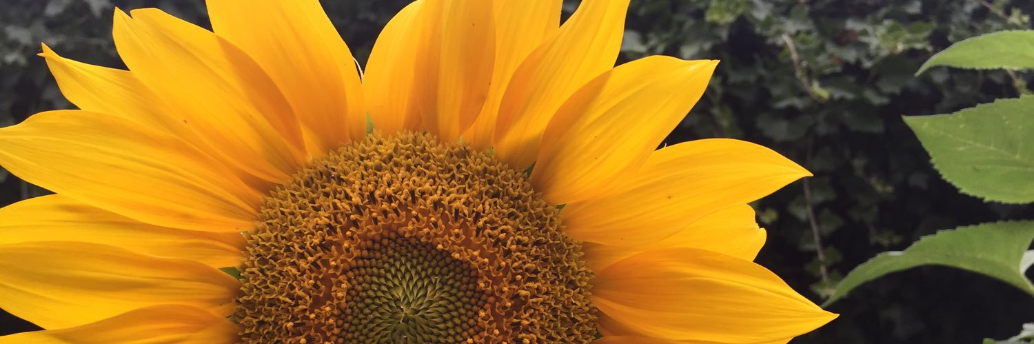 Helenjames100's profile banner image