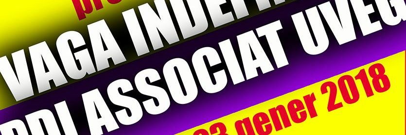 PDI Precariat banner