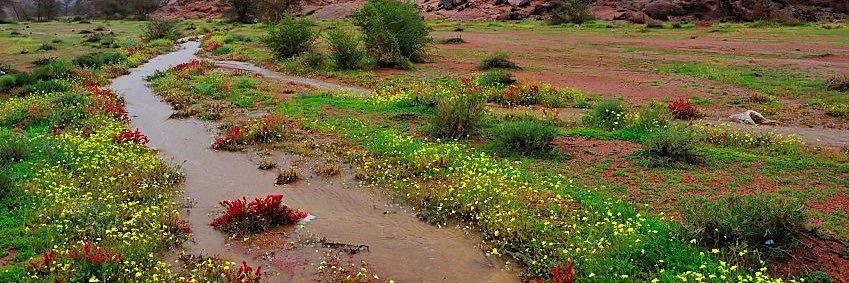 عادل المسمار banner