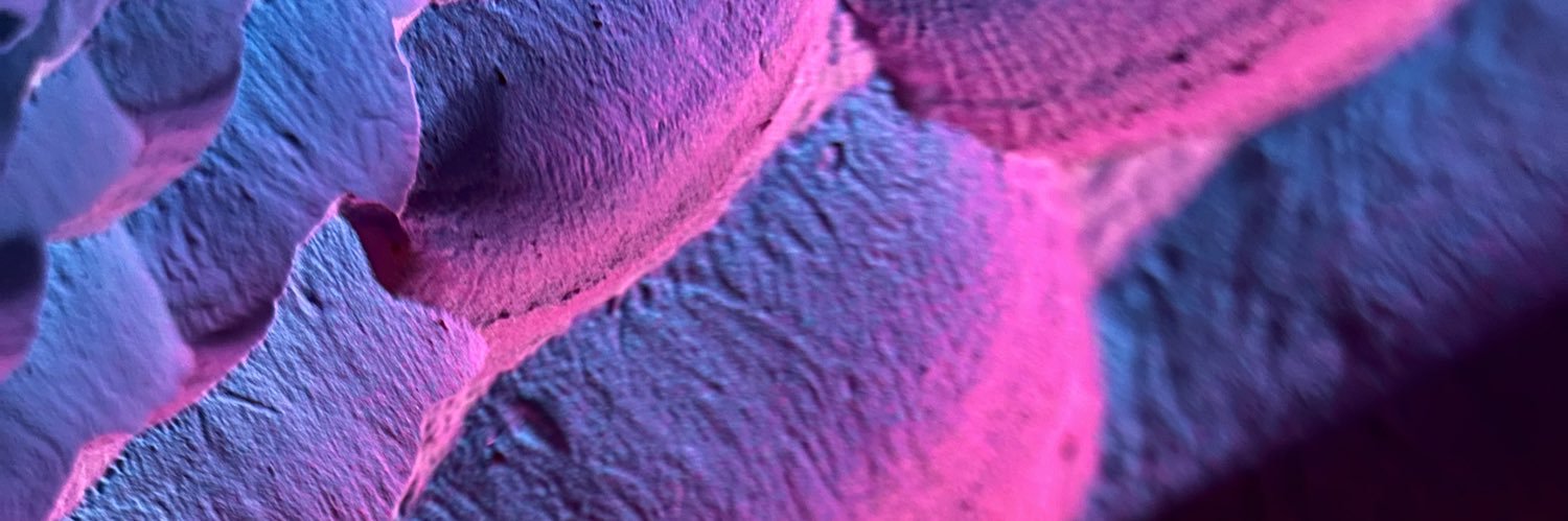 REZarin's profile banner image