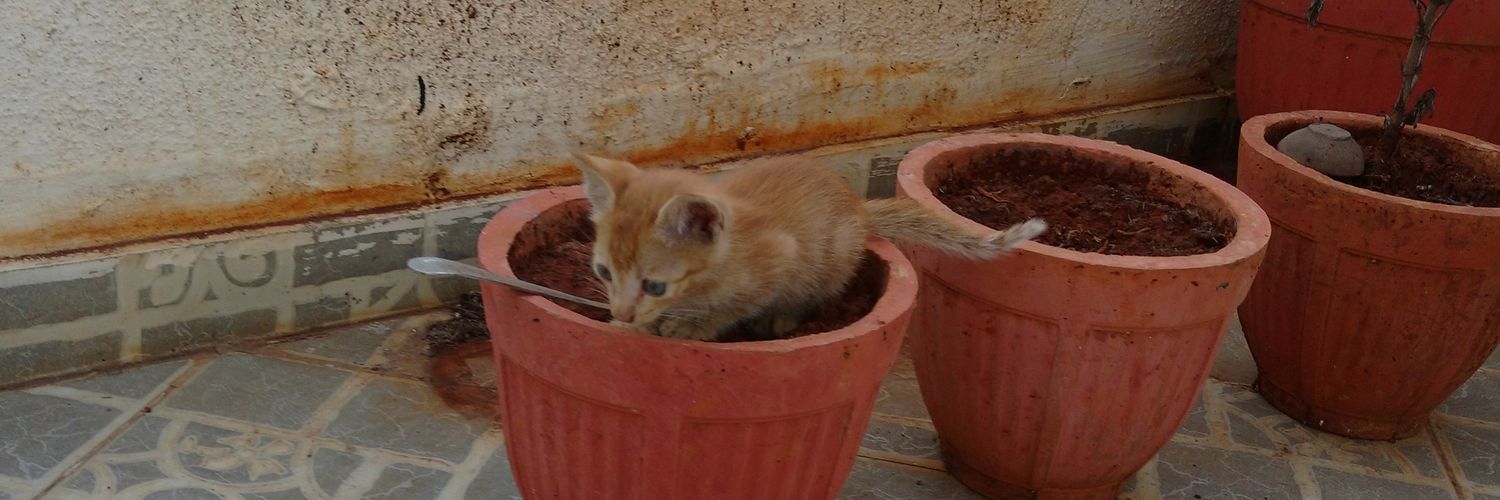 KoochBhi's profile banner image