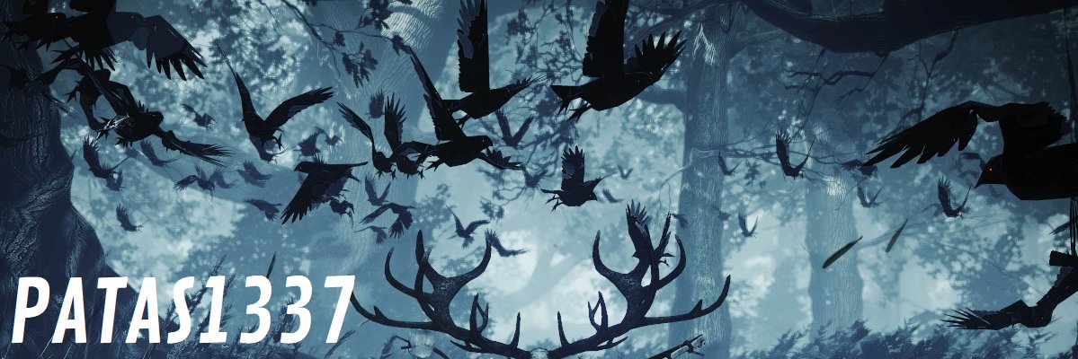 Patas1337's profile banner image