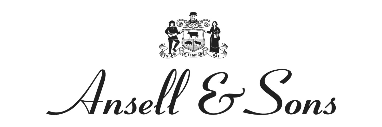 ansellandsons's profile banner image