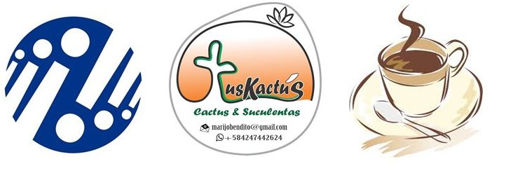 TusKactus's profile banner image