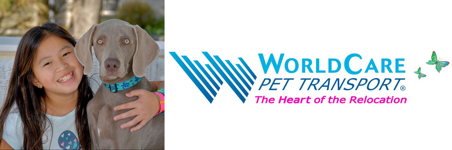 WorldCarePet's profile banner image