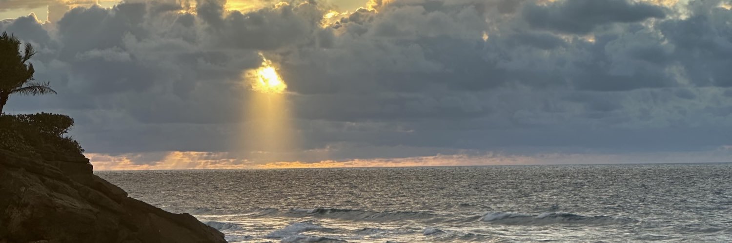 _ylsv's profile banner image