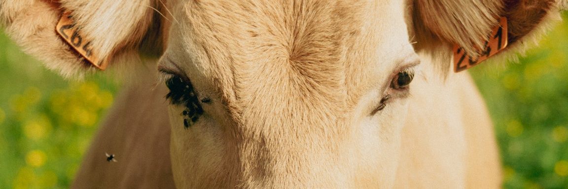 Only_Potatoes_'s profile banner image