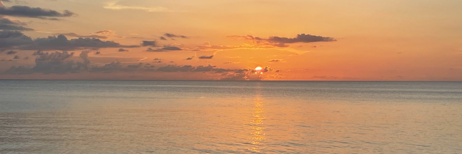 rollinlarge's profile banner image