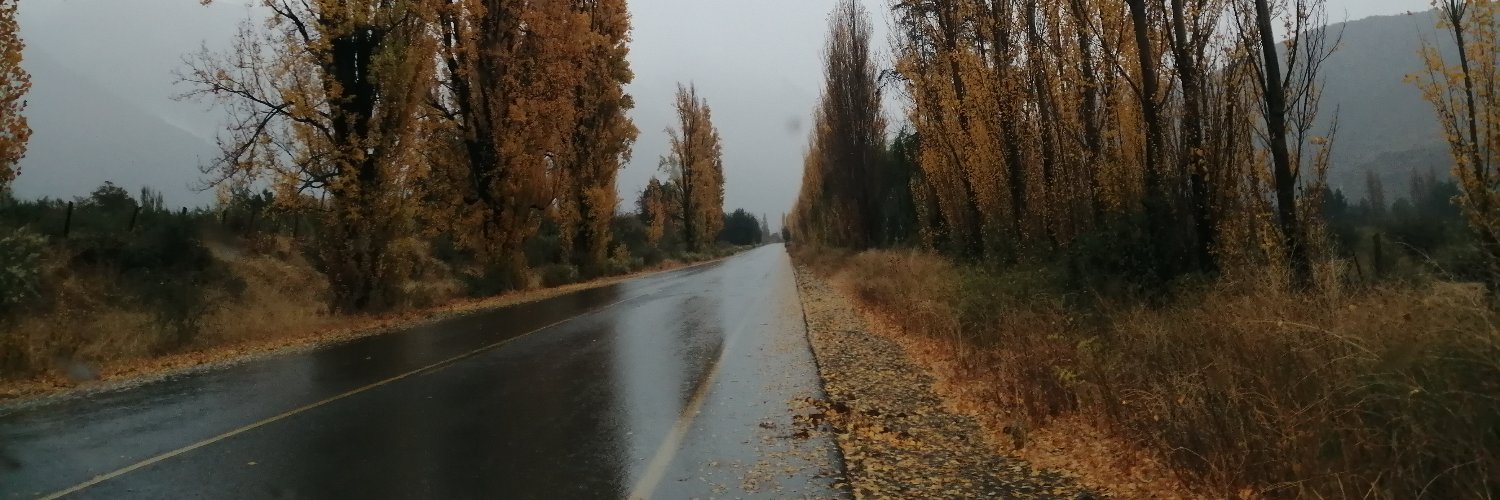 Pablo Arancibia banner