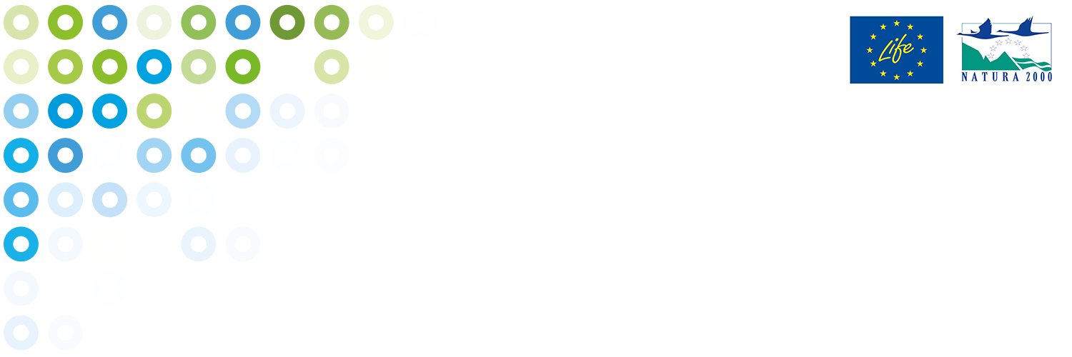 griponlifeip's profile banner image