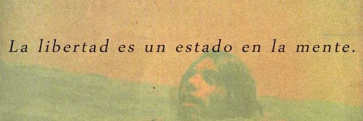 Rocío Estefanía  banner