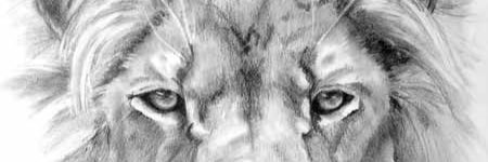 iambrenaj's profile banner image
